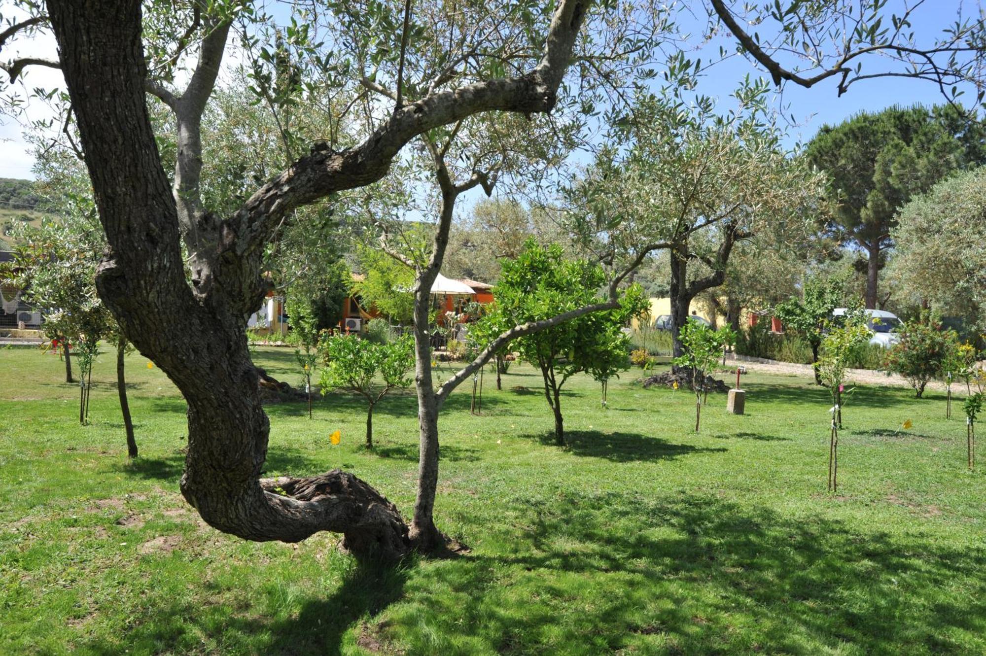 Butterfly House Bed & Breakfast Alghero Ngoại thất bức ảnh